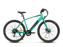 Samebike XWP10 