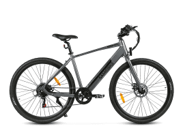 Samebike XWP10 Silve