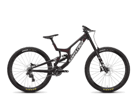 Santa Cruz V10 S 29 | XL