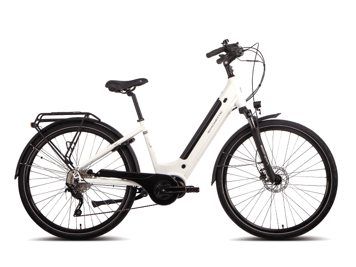 Foto: Saxonette Premium Sport E-Bike Trekking