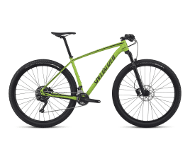 Specialized Epic Hardtail L | Gloss Monster Green/Black