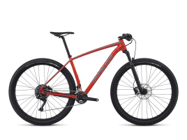 Specialized Epic Hardtail L | Gloss Nordic Red/Turquoise