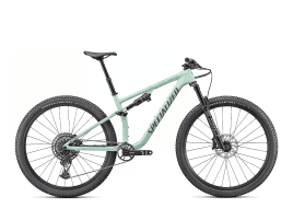 Specialized Epic EVO Comp XL | Gloss Ca White Sage / Sage Green