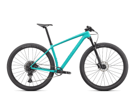 Specialized Epic Hardtail 