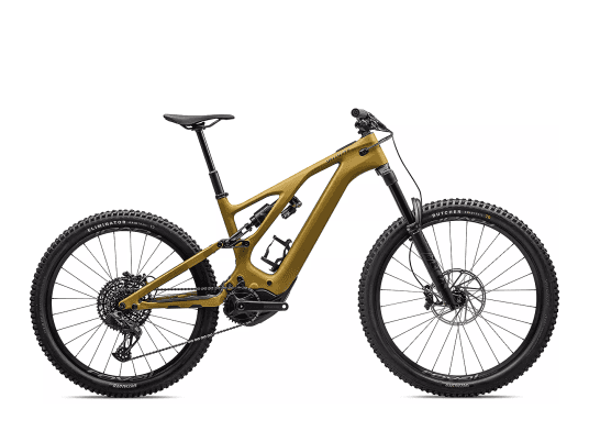 xxl emtb