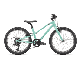 Specialized Jett 20 Multispeed Gloss Oasis / Forest Green