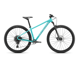 Specialized Rockhopper Expert 29 