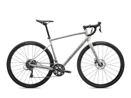 Specialized Diverge E5 58 cm | Gloss Birch / White Mountains