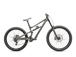 Specialized Status 2 170 DH S4