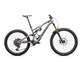 Specialized Stumpjumper EVO Pro 