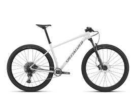 Specialized Chisel Hardtail M | Gloss Dove Grey / Ashen