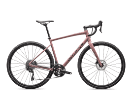 Specialized Diverge E5 Elite 58 cm | Gloss Dusky Pink / Cypress Green Metallic