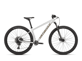 Specialized Rockhopper Expert 