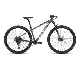 Specialized Rockhopper Expert L - 29 | Satin Cast Blue Metallic / Gloss Astral Blue