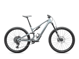 Specialized Stumpjumper 15 Comp S4 | Gloss Seafoam / Silver Dust