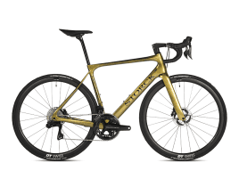 Storck Fascenario.4 Pro Disc Dura Ace Di2 2x12 S | Dragon Fly Gold