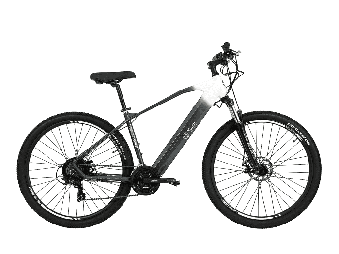 Foto: TOTEM Youin EV-S 29″ E-Bike MTB Hardtail