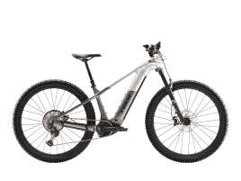 Trek Powerfly+ 8 XL | Satin Lunar Silver/Bronze Age