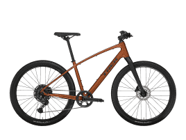 Trek Dual Sport 3 XS | Pennyflake