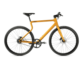 Urwahn Platzhirsch S | Gold | 1x1 | Gravel, Continental I Terra Speed X - 35 mm