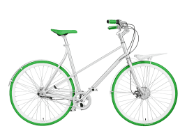 Vélosophy Comfort 54 cm | Silver / Green