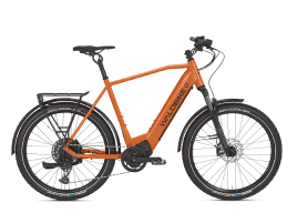 Waldbike Sorbus XL | fox-orange-brown