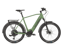 Waldbike Sorbus L | lizad green