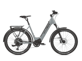 Waldbike Tilia M | wolf grey