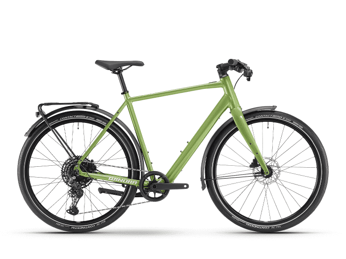 Foto: Winora E-Flitzer E-Bike City