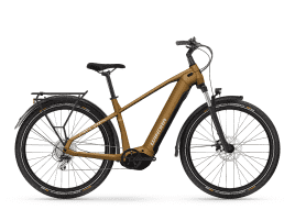 Winora Yucatan X8 High | XL | mocaccino - glossy