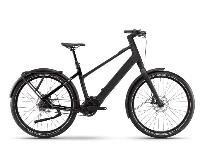 Foto: Winora iRide Pure R5F E-Bike City