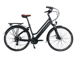 Zenith-Bikes Classic Plus ZCL°02 Zweirohr | dark tint