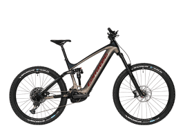 corratec E-Power RS 160 PRO 47 cm